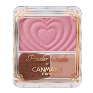 하트 무늬가 새겨진 블러셔 팬과 브러시가 든 캔메이크 Powder Cheeks