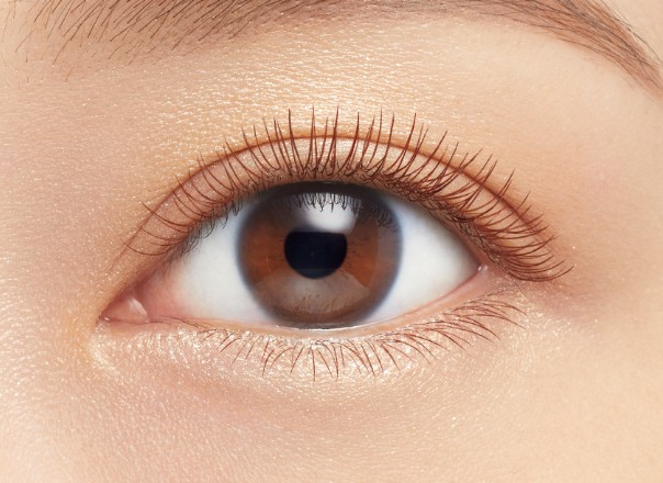 키스미 Curl Keep Mascara Base WP 02 Clear Brown을 단독으로 바른 속눈썹