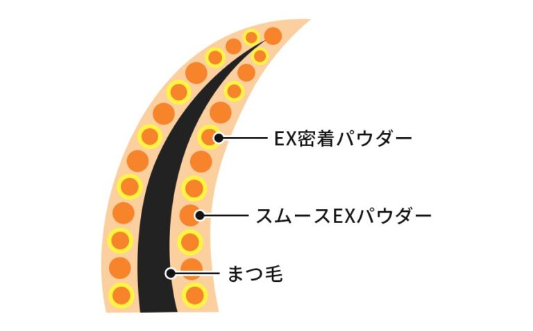Heroine Make diagram of a lash coated with its EX adhesion powder and smooth EX powder